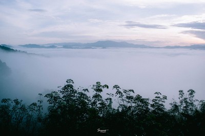 'เลหมอกเขาไข่นุ้ย' พังงา