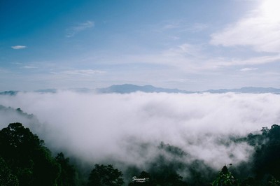 'เลหมอกเขาไข่นุ้ย' พังงา