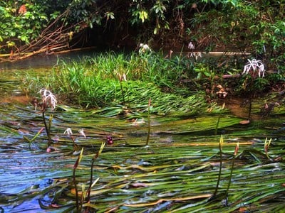 บรรยากาศ บ้านทะเลนอก