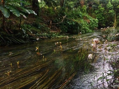 บรรยากาศ บ้านทะเลนอก