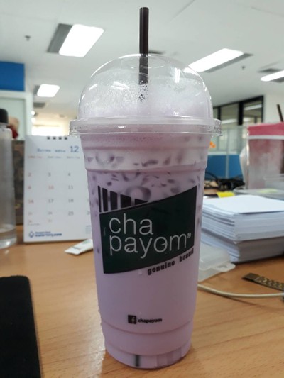 เผือกนมสด