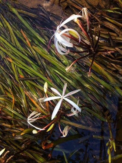 บรรยากาศ บ้านทะเลนอก