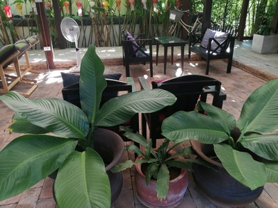 บรรยากาศ