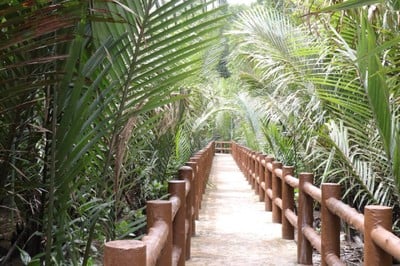 พื้นที่สงวนชีวมณฑลป่าชายเลนระนอง