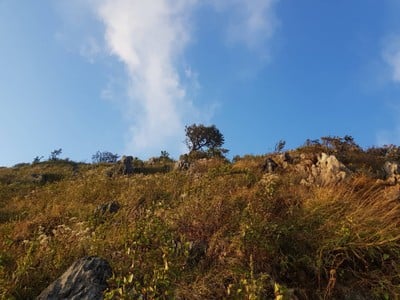 บรรยากาศ ดอยหลวงเชียงดาว