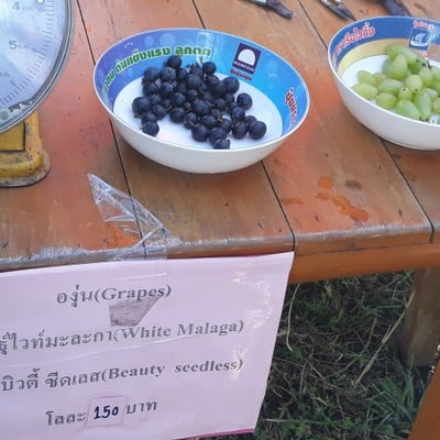 อัตราค่าบริการ