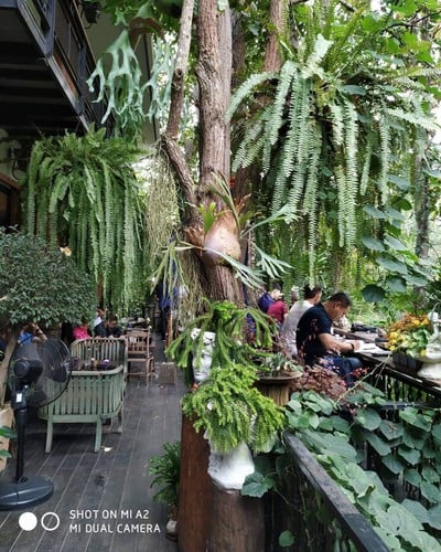 บรรยากาศ Wild Coffee & Bistro
