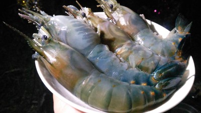 วิธีทำ กุ้งอบเนย