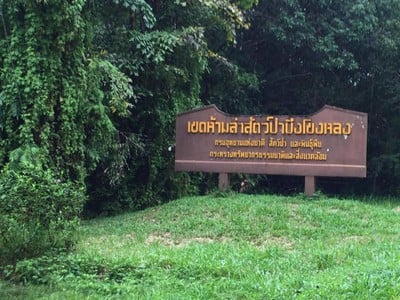 บรรยากาศ เขตห้ามล่าสัตว์ป่าบึงโขงหลง