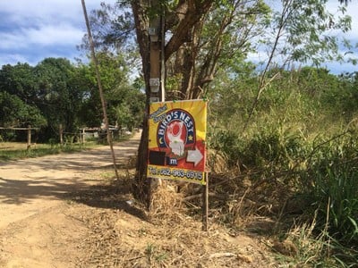 Bird's Nest Camping (นอนเต็นท์ นับดาว วังน้ำเขียว)