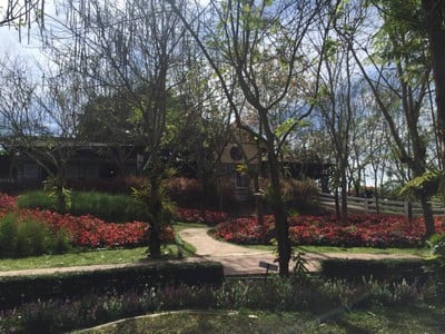 บรรยากาศ Flora Park