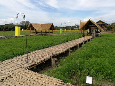 บรรยากาศ