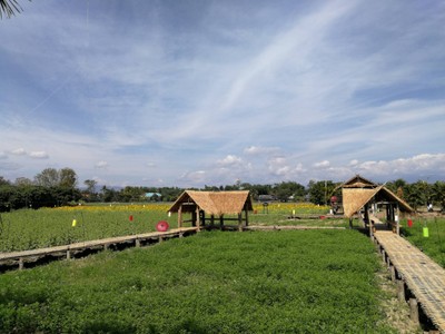 บรรยากาศ