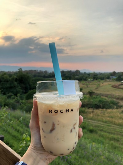 ชาไข่มุก