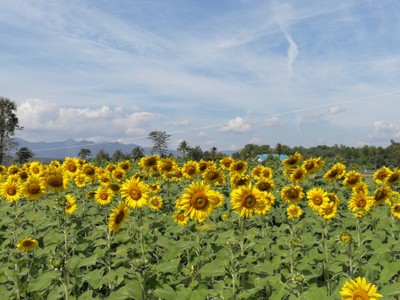 บรรยากาศ