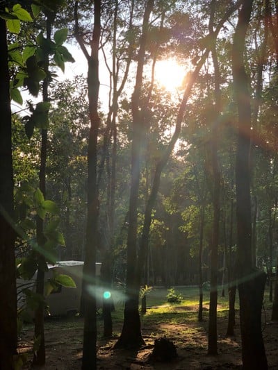 บรรยากาศ อุทยานแห่งชาติน้ำตกพาเจริญ