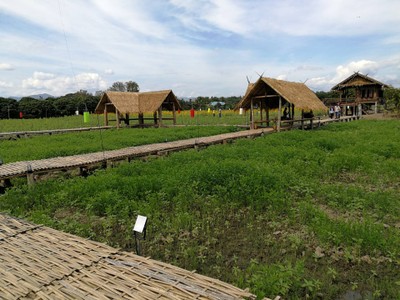 บรรยากาศ