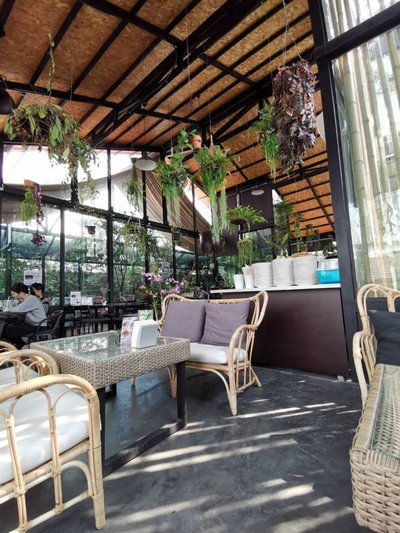 บรรยากาศ Monkey Tree Garden Monkey Tree Garden