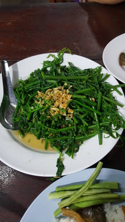ผักกูดผัดน้ำมันหอย