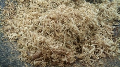 วิธีทำ หมูหยอง วิธีทำ หมูหยอง