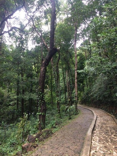 บรรยากาศ อุทยานแห่งชาติน้ำตกหงาว