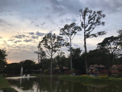 บริเวณโดยรอบ