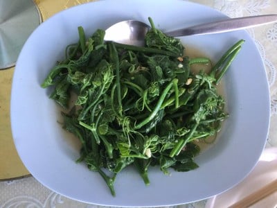 ผัดยอดฟักแม้ว