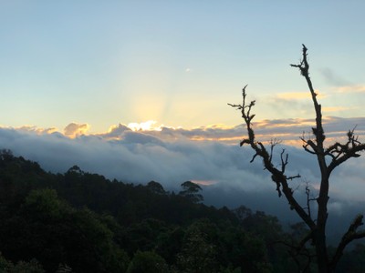 เชียงใหม่ สัมผัสแม่กำปอง 3 วัน 2 คืน 