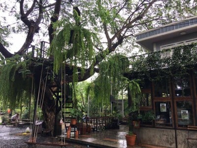 บรรยากาศ บ้าน ๑,๐๐๐ ไม้ Cafe & Farm