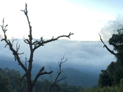 เชียงใหม่ สัมผัสแม่กำปอง 3 วัน 2 คืน 