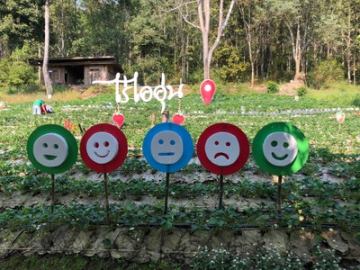 ไร่ไออุ่น