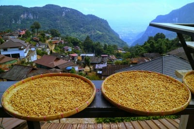 วิวนอกห้อง