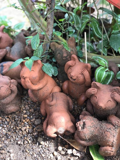 งานปั้นรูปแมวตกแต่งทางเดินเข้าร้าน