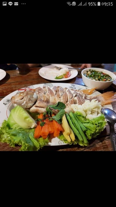 ปลาทับทิมลุยสวน