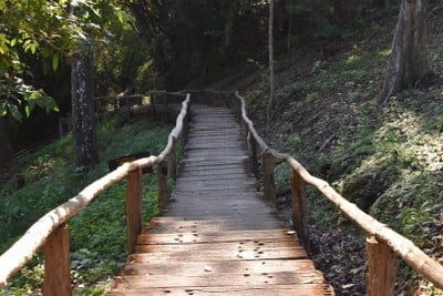 น้ำตกบัวตอง