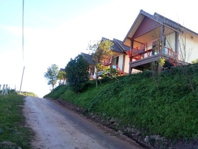 ภูฟ้าเพียงดิน
