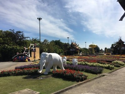 ใช้เวลาไปกับพรรณไม้และดอกไม้นานาใน 1 วันที่เชียงใหม่