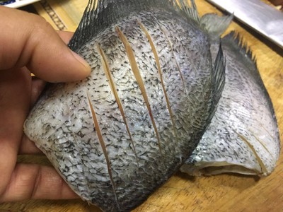 วิธีทำ ปลาสลิดทอดกรอบ