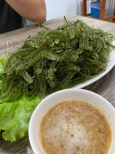 สาหร่ายอะไรสักอย่าง