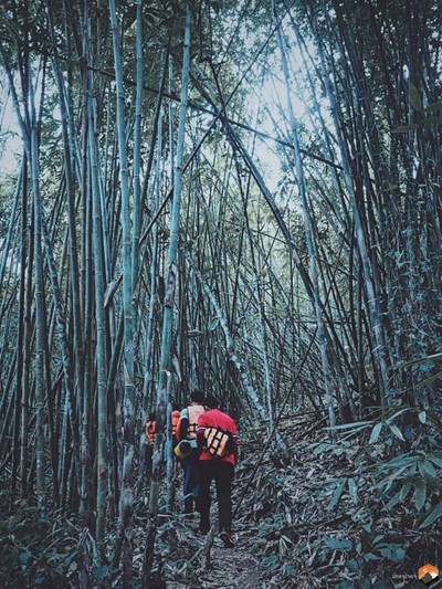 วันแรกจะเป็นการเดินไปถ้ำเสาหินครับ ระยะทางไกลพอสมควร เดินง่ายมาก