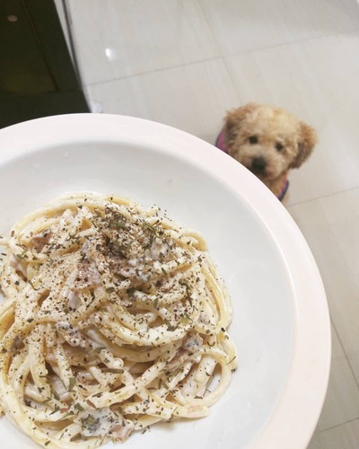 สปาเก็ตตี้ คาโบนาร่า สปาเก็ตตี้ คาโบนาร่า