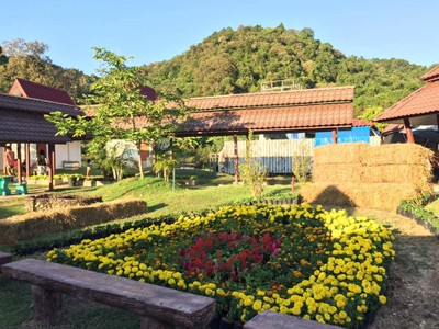 บรรยากาศ บ่อน้ำพุร้อนแม่จอก