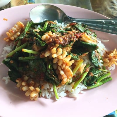 ข้าวผัดพริกแกงหมึก คะน้า