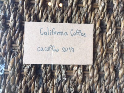 California Barber & Coffee Shop