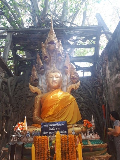 หลวงพ่อแก่น พระนาคปรกสวยงาม