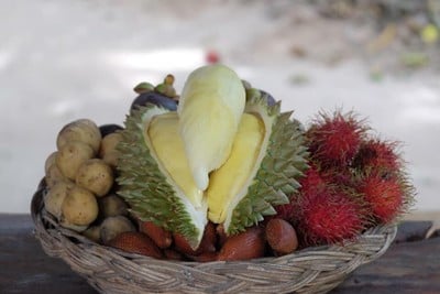 สวนลุงประเสริฐ