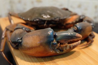 วิธีทำ Chilli Crab (ปูผัดซอสพริก)