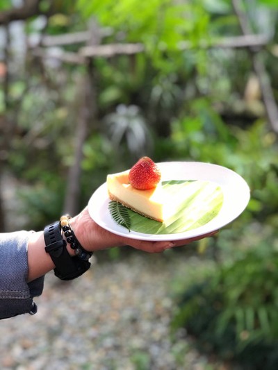 ชีสเค้ก