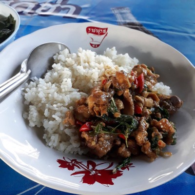 ผัดกระเพราไก่