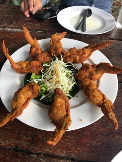 ปีกไก่กรกช